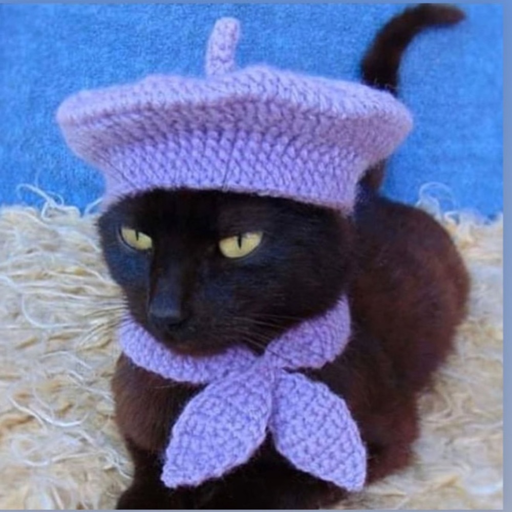 Meet your Posher, Carrie